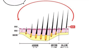 了解睫毛的生長週期-台中美睫推薦